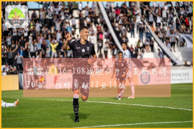 雷霆以116-108战胜公牛，麦凯恩得20分，切特贡献12分11板